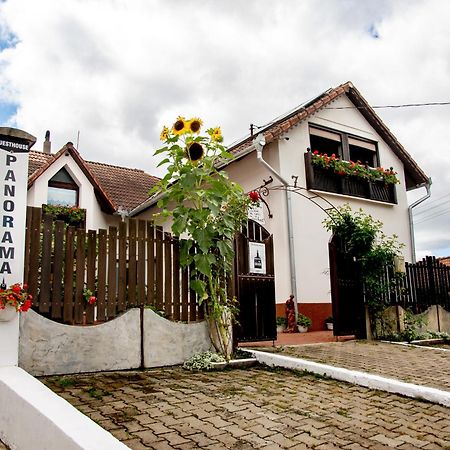 Panorama Guesthouse 시기쇼아라 외부 사진